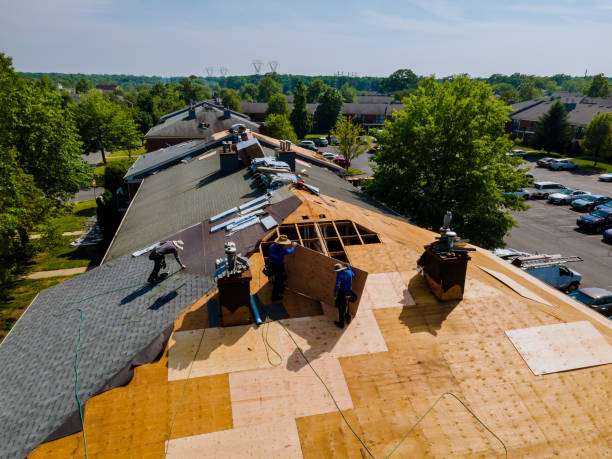 Roof Waterproofing Services in Burr Ridge, IL