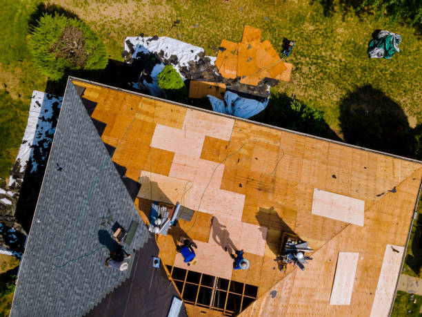 Best Storm Damage Roof Repair  in Burr Ridge, IL
