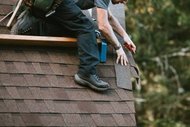 Best Roofing Contractor Near Me  in Burr Ridge, IL